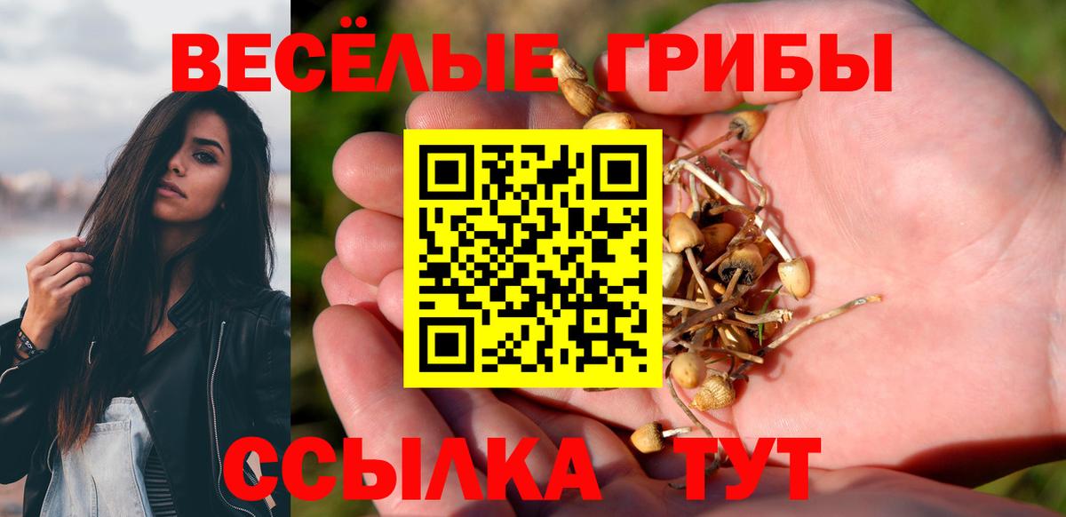 Псилоцибиновые грибы ЛСД  Вход с VPN  купить наркоту  Южно-Сахалинск 